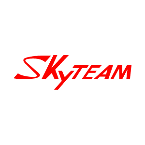 Logo SKYTEAM